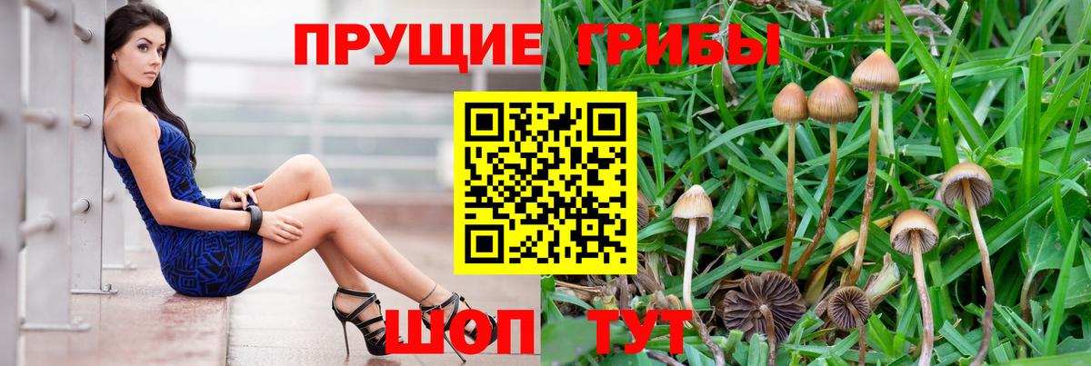 купить  сайты  Вход с VPN  Сердобск  Псилоцибиновые грибы прущие грибы 